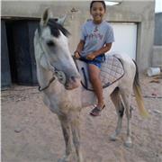 Je donne des cours d’équitation particulier à des jeunes débutants